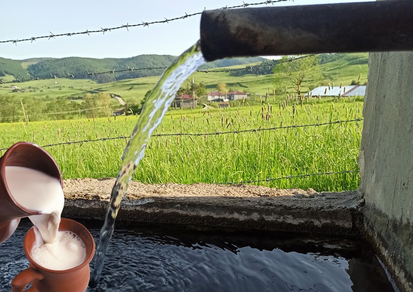 Yaygın inancın tersine, Lorem Ipsum